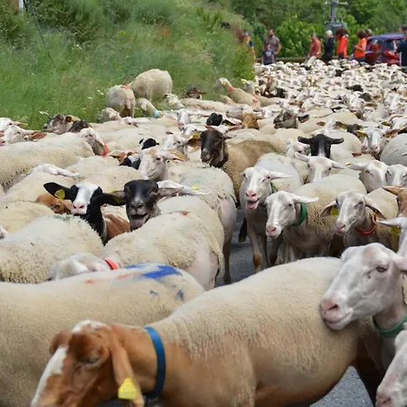 Dom wakacyjny La Barthe Basse *