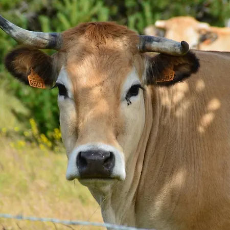 La Barthe Basse Dom wakacyjny