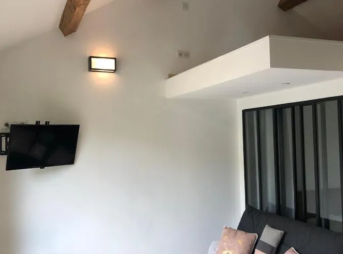 La Barthe Basse 펜션 *