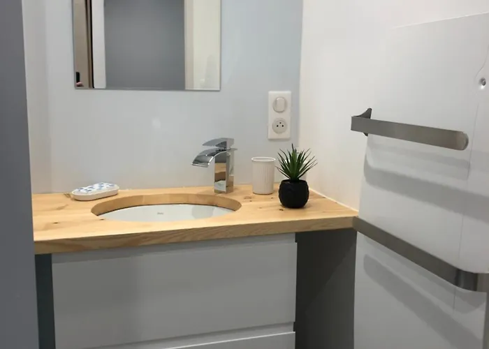 La Barthe Basse 펜션 *