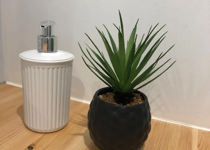 La Barthe Basse 펜션